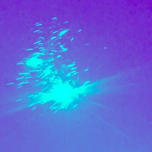 Meet your Posher, Abigail